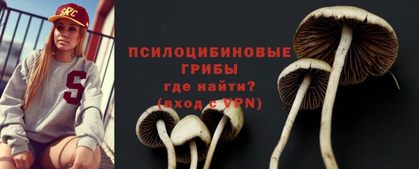 ГАЛЛЮЦИНОГЕННЫЕ ГРИБЫ Алексеевка