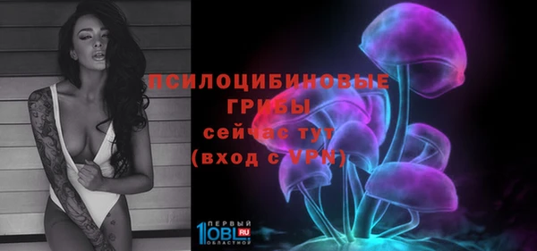 mdpv Алзамай