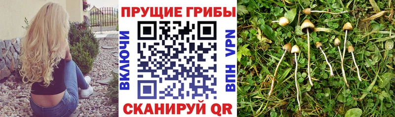 Галлюциногенные грибы мицелий  Лысьва 